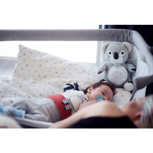 Chipolino projektoros zenélő plüss játék - Koala