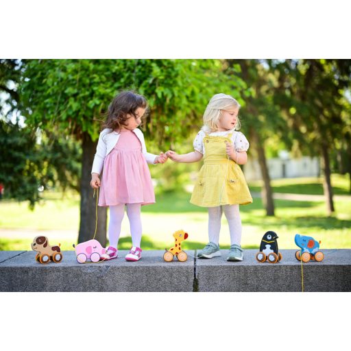 Lorelli Toys készségfejlesztő játék - Puppy